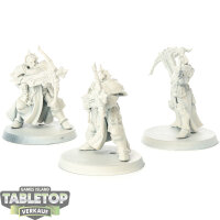 Stormcast Eternals - 3x Castigators - grundiert