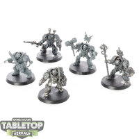 Grey Knights - 5x Grey Knights Brotherhood Terminator...
