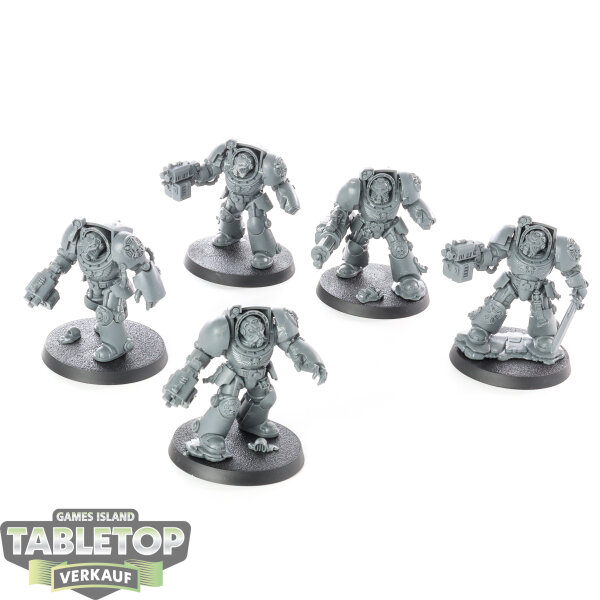 Space Marines - 5x Terminator Squad - unbemalt