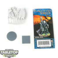 SAGA Tabletop - Xaquir - The Necromancer - im Gussrahmen