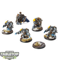 Space Wolves - 5 Wolf Guard Terminators - bemalt