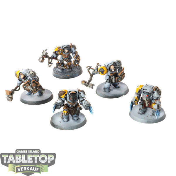 Space Wolves - 5 Wolf Guard Terminators - bemalt