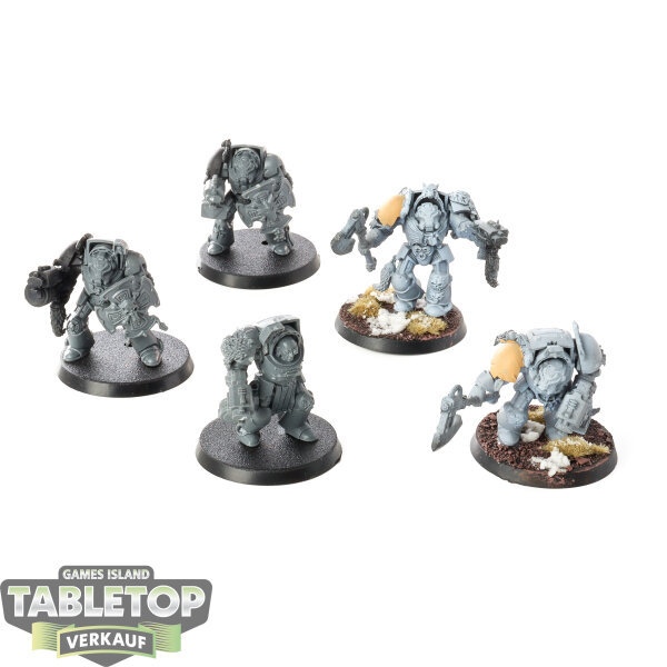 Space Wolves - 5 Wolf Guard Terminators - teilweise bemalt