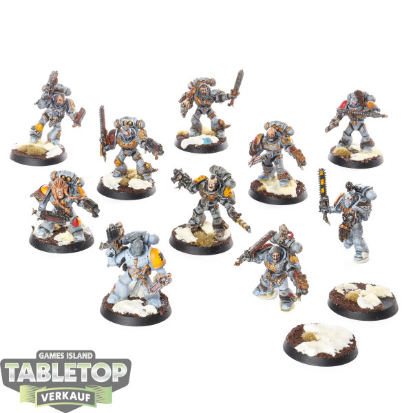 Space Wolves - 10 Grey Hunters klassisch - bemalt