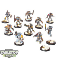 Space Wolves - 10 Grey Hunters klassisch - bemalt