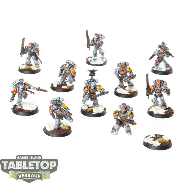 Space Wolves - 10 Blood Claws klassisch - bemalt