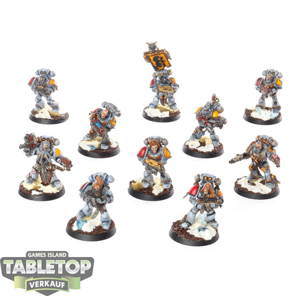 Space Wolves - 10 Grey Hunters klassisch - bemalt