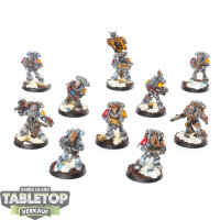 Space Wolves - 10 Grey Hunters klassisch - bemalt