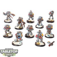 Space Wolves - 10 Grey Hunters klassisch - bemalt