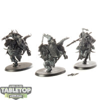 Slaves to Darkness - 3 Varanguard - grundiert
