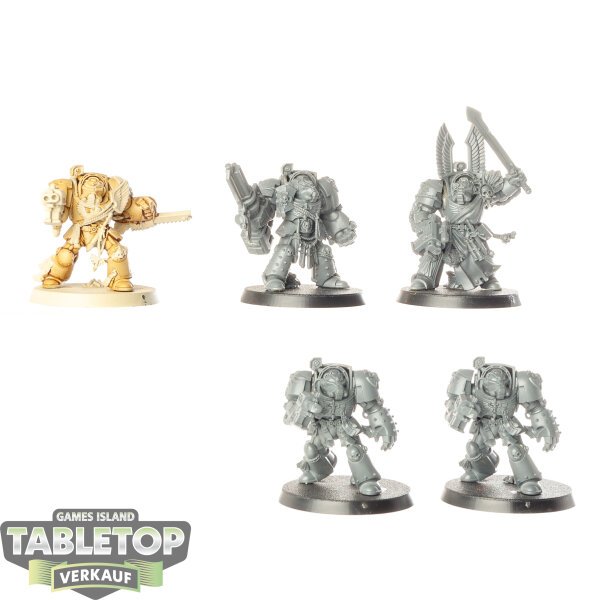 Dark Angels - 5 x Deathwing Terminators - teilweise bemalt