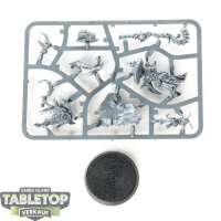 Gloomspite Gitz - Fungoid Cave-Shaman - im Gussrahmen