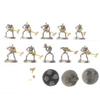 Necrons - 10 Necron Warriors classic - bemalt