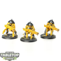 Tyraniden - 3x Hive Guard - bemalt