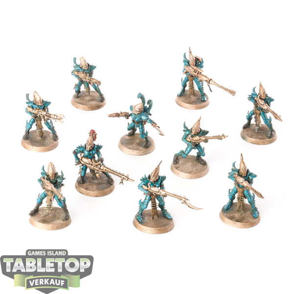 Drukhari - 10 Kabalite Warriors - teilweise bemalt