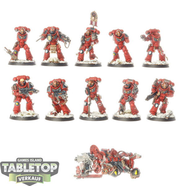 Blood Angels - 10x Intercessor Squad - bemalt