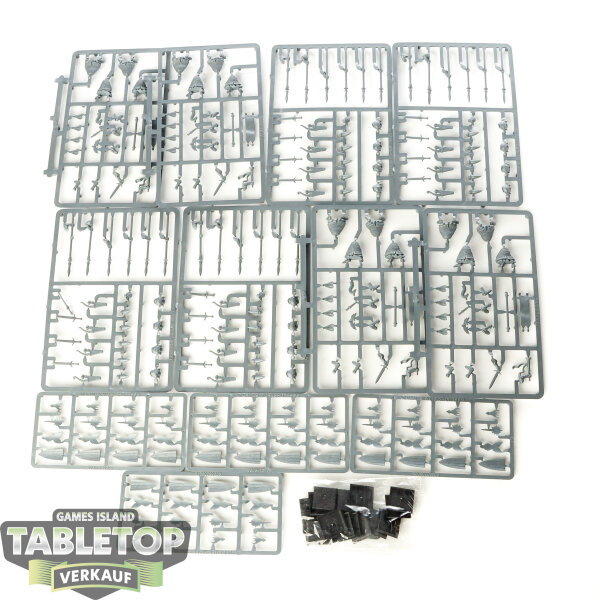 High Elf Realms - 10x High Elf Warriors Regiment - im Gussrahmen