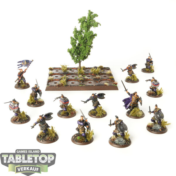 Neutral - 13x Stormcrow Mercenaries - bemalt