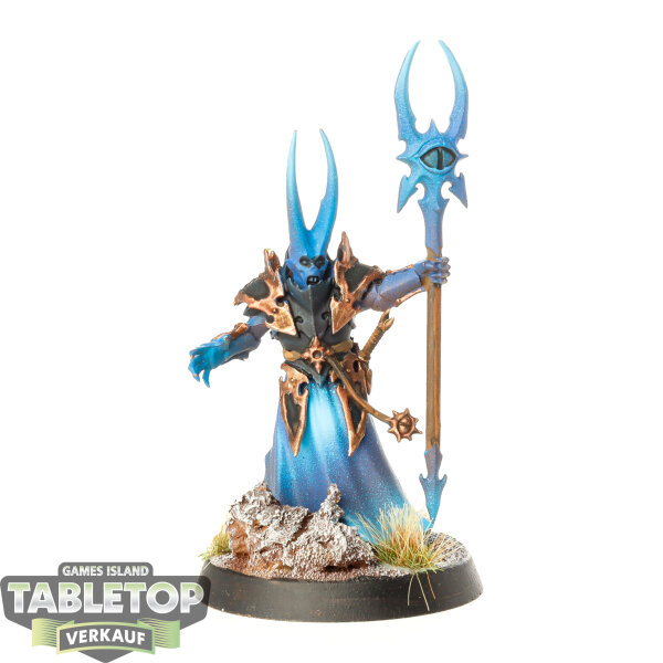 Slaves to Darkness - Chaos Sorcerer Lord - bemalt