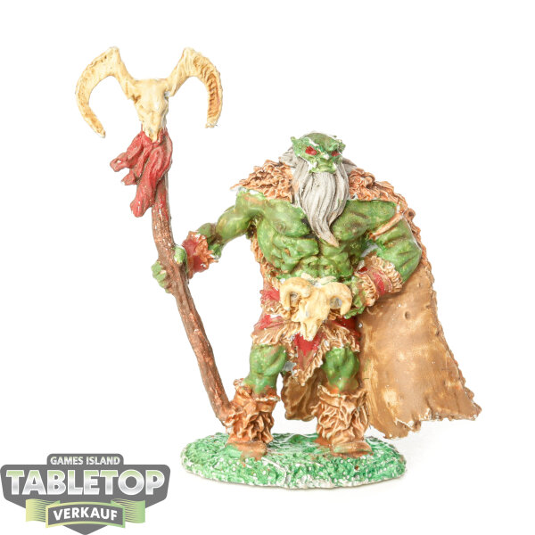 Miniaturen - GonTarr Orc Shaman - bemalt