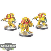 Imperial Fists - 3 Aggressor Squad - bemalt