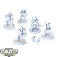 Imperial Fists - 5 Heavy Intercessor Squad - grundiert