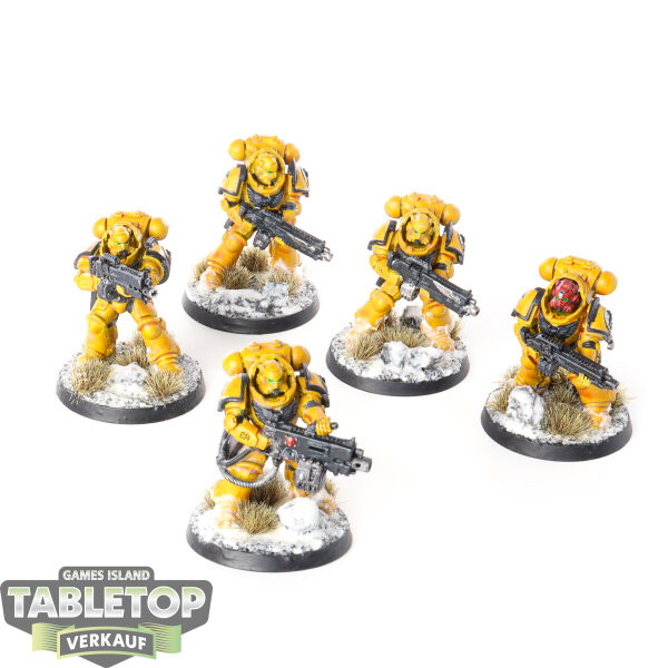 Imperial Fists - 5 Heavy Intercessor Squad - bemalt