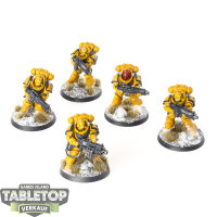 Imperial Fists - 5 Heavy Intercessor Squad - bemalt