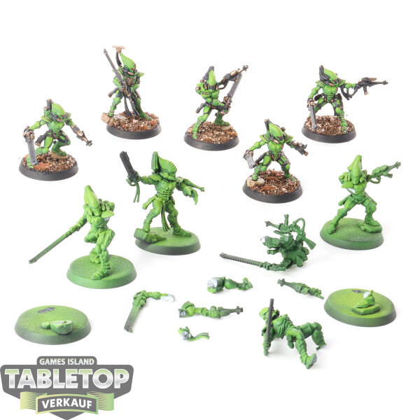Aeldari - 10x Kill Team: Blades of Khaine - teilweise bemalt