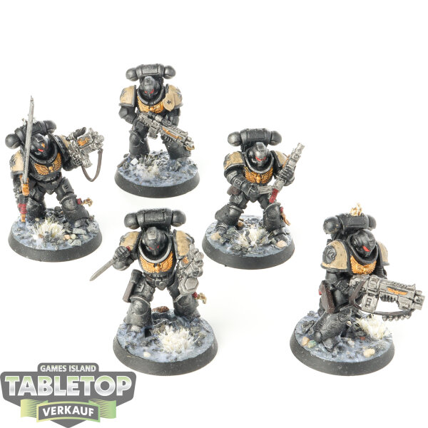 Black Templars - 5 Intercessor Squad - bemalt
