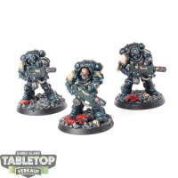 Black Templars - 3 Primaris Eradicators - bemalt