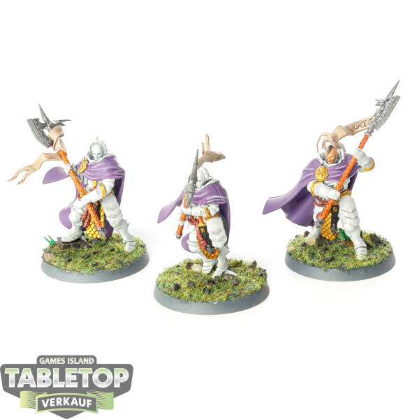 Stormcast Eternals - 3 x Praetors - bemalt