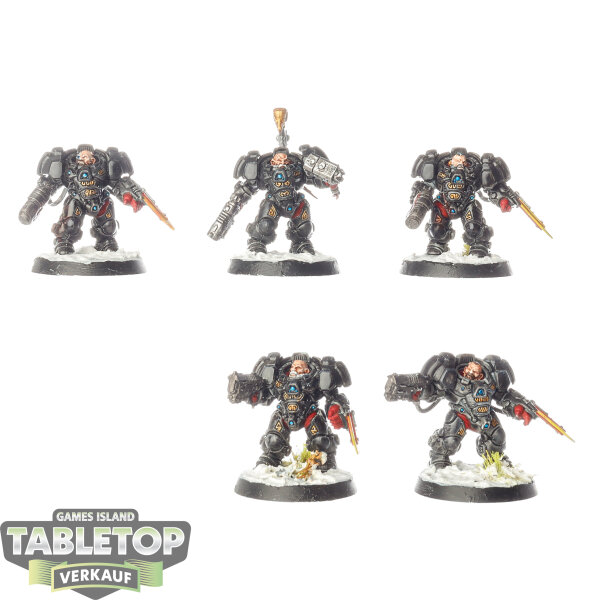 Leagues of Votann - 5 x Einhyr Hearthguard - bemalt