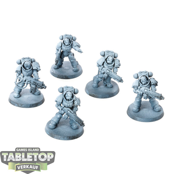 Space Marines - 5x Heavy Intercessor Squad - teilweise bemalt