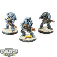 Space Wolves - 3x Primaris Eradicators - teilweise bemalt