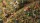 GamersGrass - Enchanted Forest Basing Box