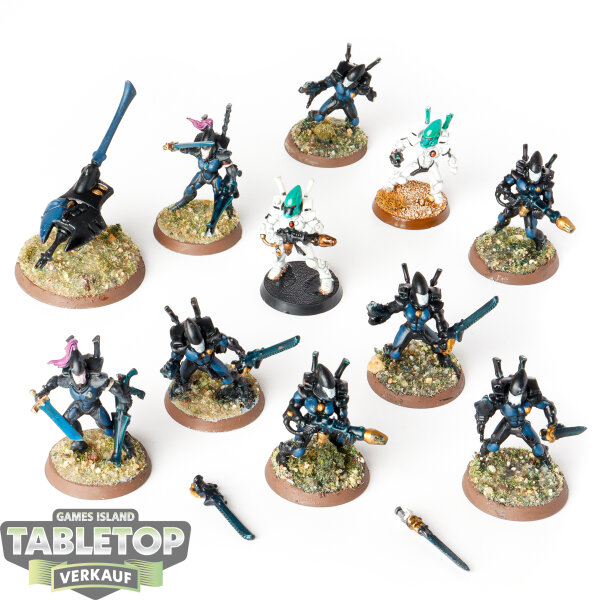Aeldari - 10 x Storm Guardians - bemalt