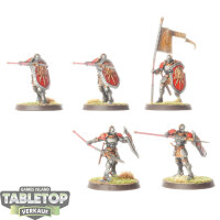 Stormcast Eternals - 5x Vindictors - bemalt