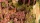 GamersGrass - Basing Bits - Ancient Columns
