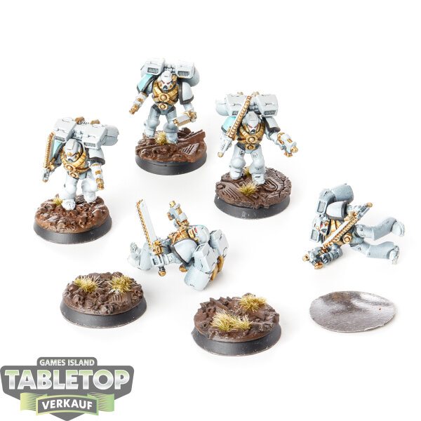 Space Marines - 5x Assault Marines - bemalt