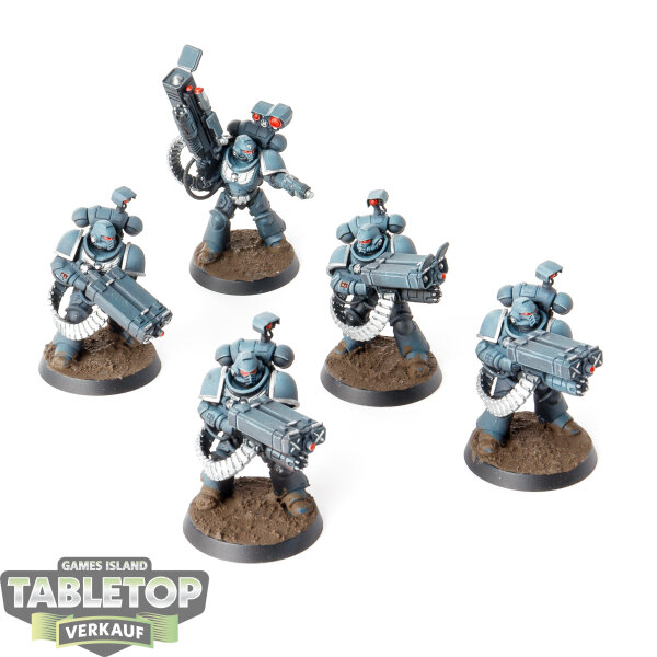 Space Marines - 5x Desolation Squad - bemalt