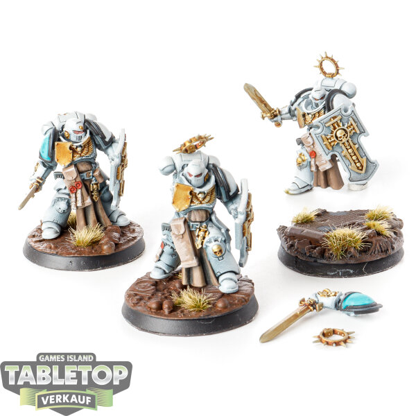 Space Marines - 3x Bladeguard Veteran Squad - bemalt