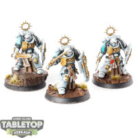 Space Marines - 3x Bladeguard Veteran Squad - bemalt