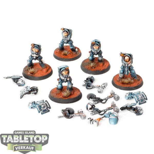Space Marines - 5x Terminator Assault Squad - bemalt