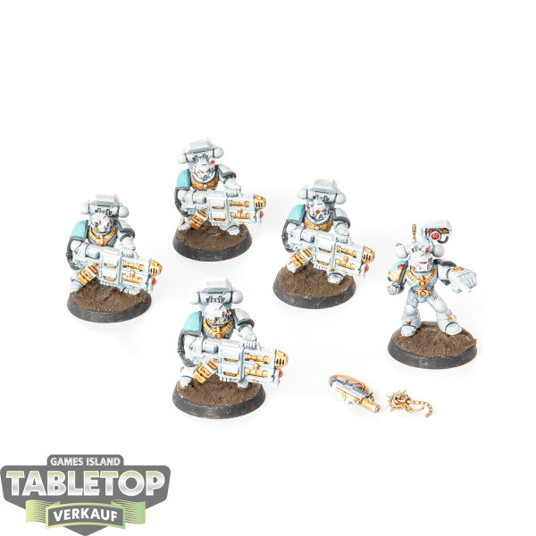 Space Marines - 5x Devastator Squad - bemalt