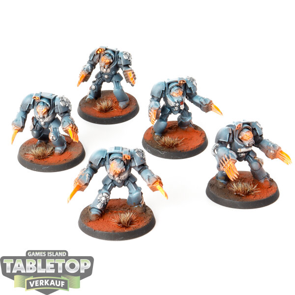 Space Marines - 5x Terminator Assault Squad - bemalt