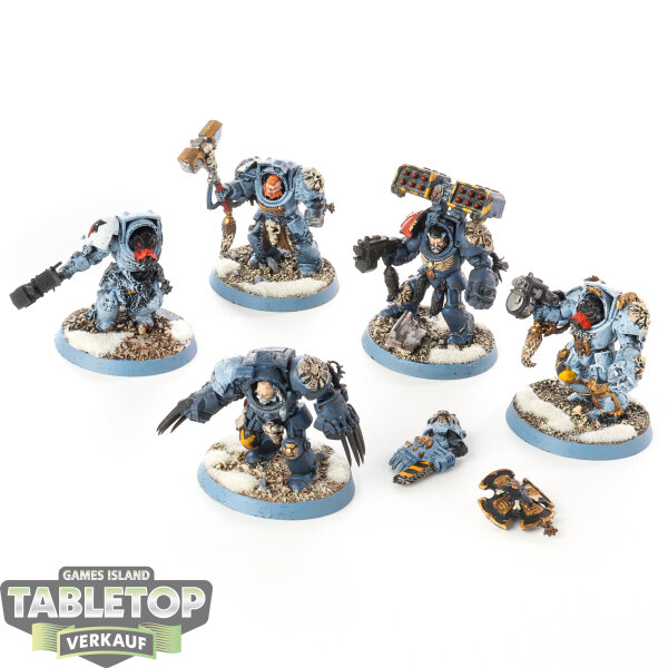 Space Wolves - 5 Wolf Guard Terminators klassisch - bemalt
