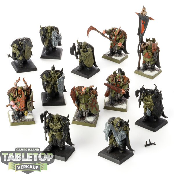 Warriors of Chaos - 12 Chaos Warriors klassisch - teilweise bemalt