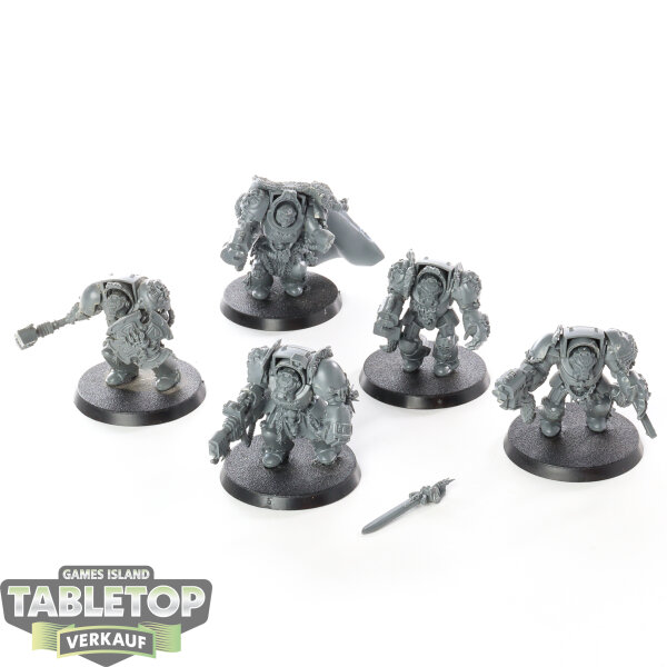 Space Wolves - 5 Wolf Guard Terminators classic - unbemalt