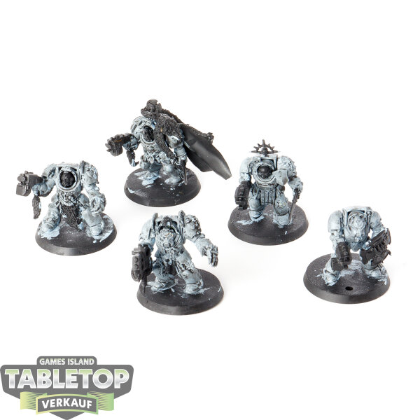 Space Wolves - 5 Wolf Guard Terminators classic - teilweise bemalt